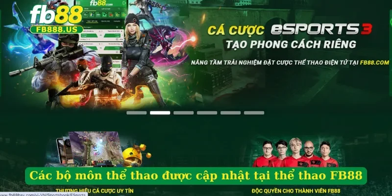 cac-bo-mon-the-thao-duoc-cap-nhat-tai-the-thao-fb88