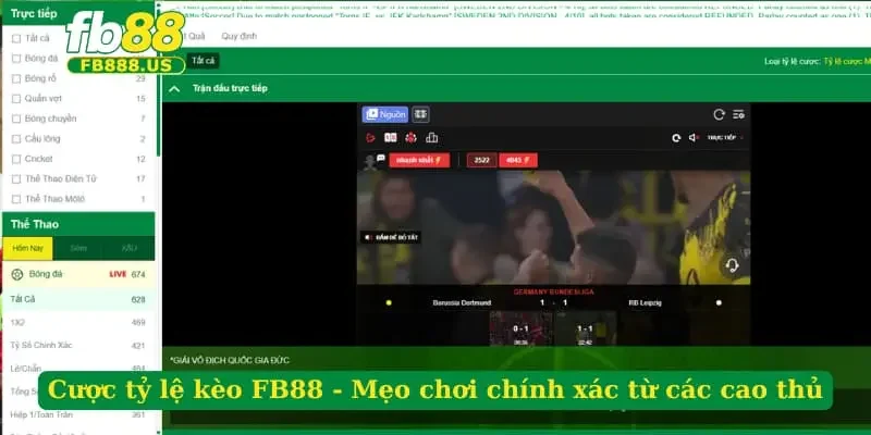 cuoc-ty-le-keo-fb88-meo-choi-chinh-xac-tu-cac-cao-thu