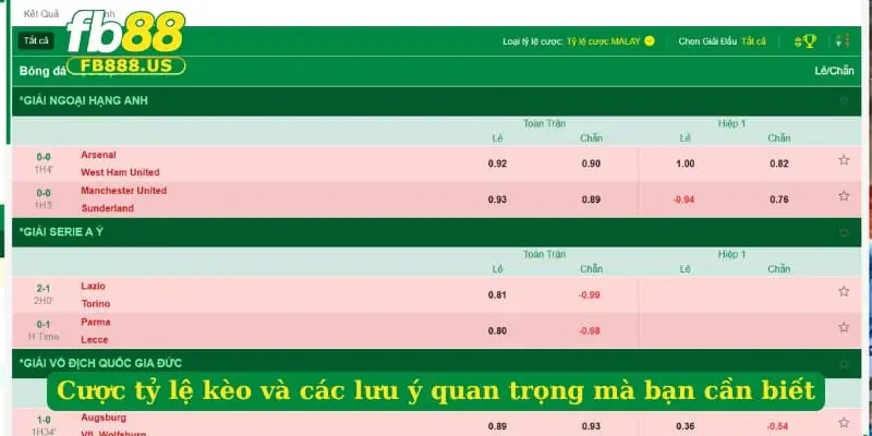 cuoc-ty-le-keo-va-cac-luu-y-quan-trong-ma-ban-can-biet