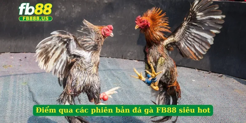 diem-qua-cac-phien-ban-da-ga-fb88-sieu-hot