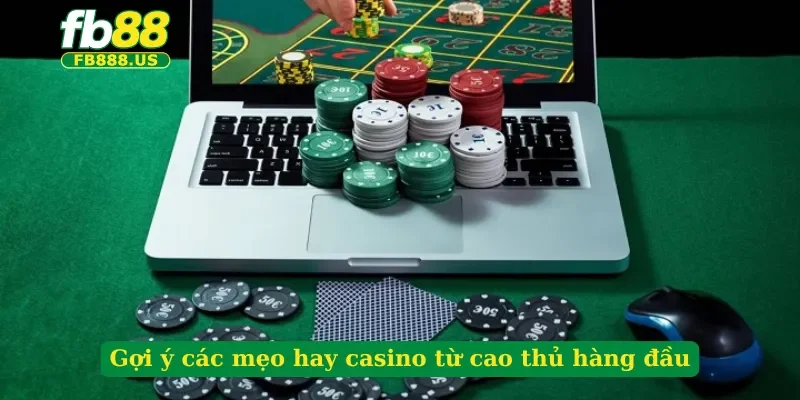 goi-y-cac-meo-hay-casino-tu-cao-thu-hang-dau