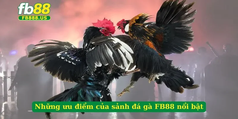 nhung-uu-diem-cua-sanh-da-ga-fb88-noi-bat